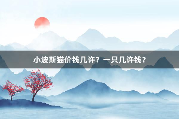 小波斯猫价钱几许?一只几许钱?